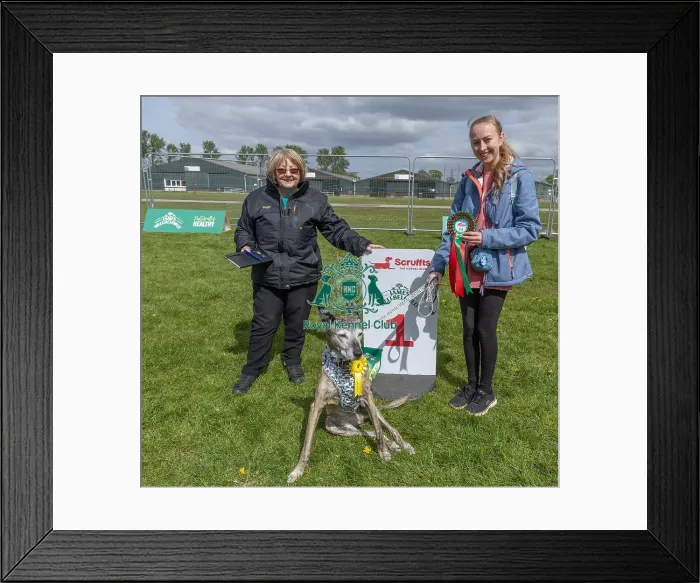 Framed Print : Sponsors Name James Wellbeloved Scruffts Heat Framed Print : Sponsors Name James Wellbeloved Scruffts Heat