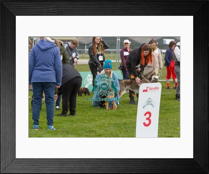 Framed Print : Sponsors Name Prettiest Bitch Class Judging James Wellbeloved
