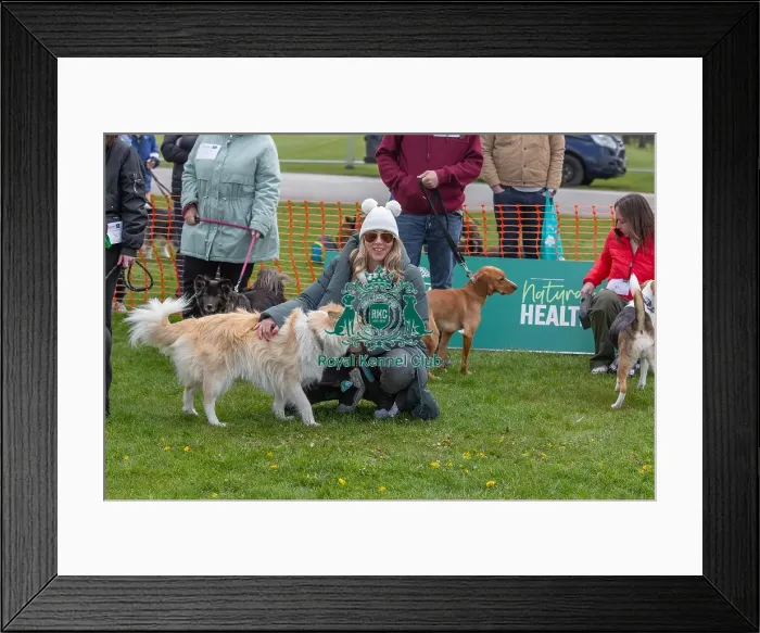 Framed Print : Nottinghamshire. 21st April 2024 Prettiest Bitch Class