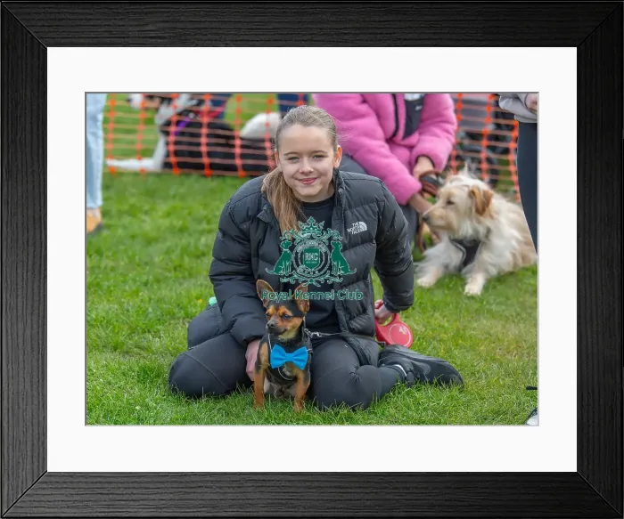 Framed Print : Newark 21st April 2024 Most Handsome Dog Class Framed Print : Newark 21st April 2024 Most Handsome Dog Class