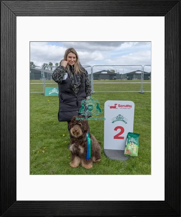 Framed Print : 21st April 2024 Second Place Dog Name Dougie Framed Print : 21st April 2024 Second Place Dog Name Dougie