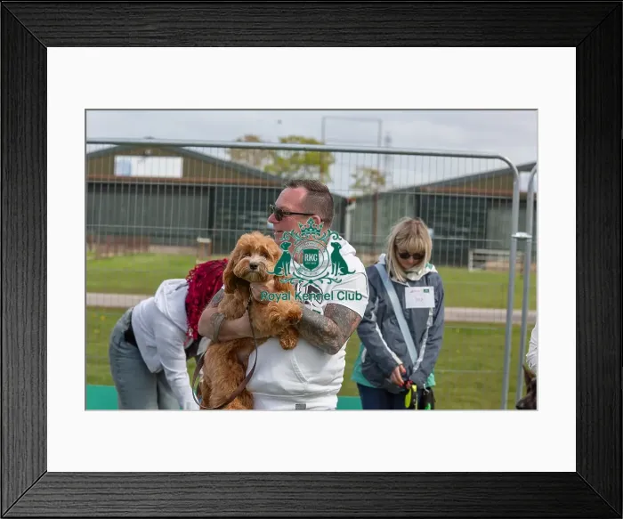 Framed Print : Newark 21st April 2024 Most Handsome Dog Class Framed Print : Newark 21st April 2024 Most Handsome Dog Class
