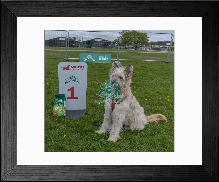 Framed Print : Nottinghamshire. Scruffts Heat James Wellbeloved Framed Print : Nottinghamshire. Scruffts Heat James Wellbeloved