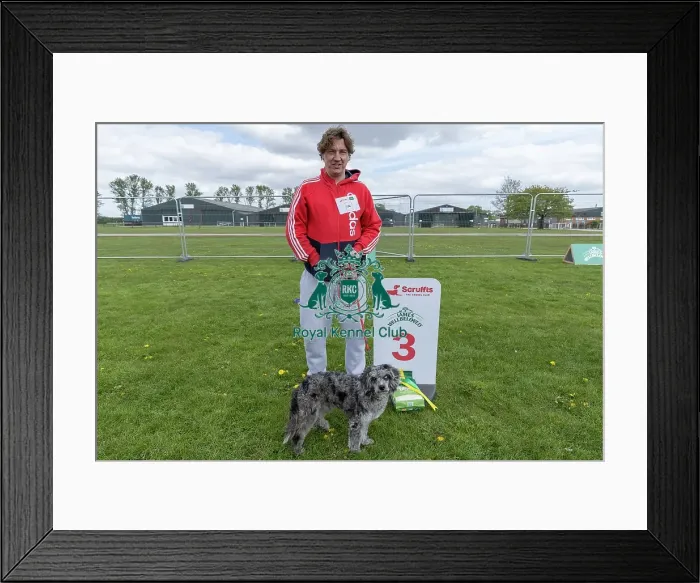 Framed Print : Sponsors Name James Wellbeloved Dog Name Wilson Framed Print : Sponsors Name James Wellbeloved Dog Name Wilson
