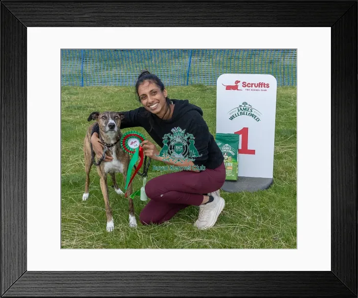 Framed Print : Dog Name Ollie Scruffts Heats Scruffts Family Crossbreed Of The Year Competition