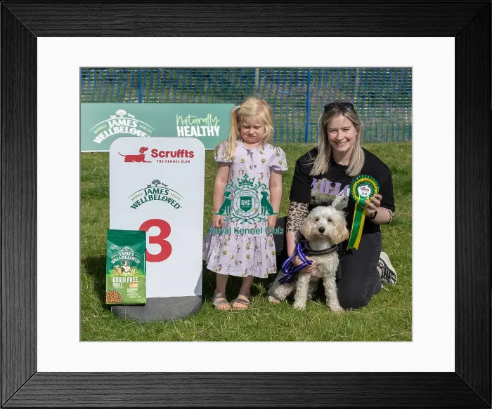 Framed Print : Dog Name Willow Scruffts Heats Scruffts Family Crossbreed Of The Year Competition Framed Print : Dog Name Willow Scruffts Heats Scruffts Family Crossbreed Of The Year Competition