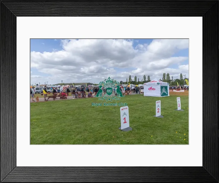 Framed Print : Sponsors Name Scruffts Heat Tent Queue Newark Framed Print : Sponsors Name Scruffts Heat Tent Queue Newark