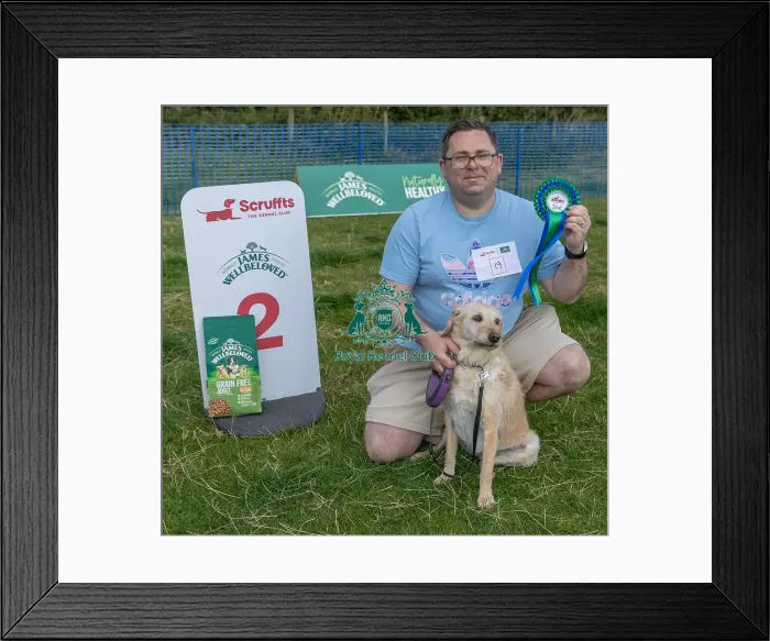 Framed Print : North East Dog Festival 2024 Scruffts Heats Owner Name Framed Print : North East Dog Festival 2024 Scruffts Heats Owner Name