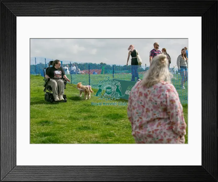Framed Print : Sponsors Name Scruffts Heats Good Citizen Dog Scheme Framed Print : Sponsors Name Scruffts Heats Good Citizen Dog Scheme