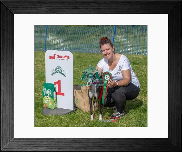 Framed Print : Sponsors Name Scruffts Heats Scruffts Family Crossbreed Of The Year Competition Framed Print : Sponsors Name Scruffts Heats Scruffts Family Crossbreed Of The Year Competition