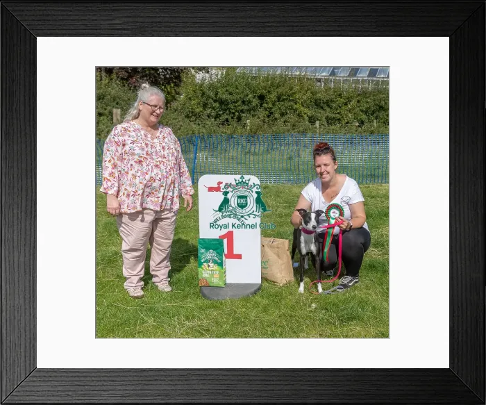 Framed Print : Sponsors Name Scruffts Heats Scruffts Family Crossbreed Of The Year Competition Framed Print : Sponsors Name Scruffts Heats Scruffts Family Crossbreed Of The Year Competition