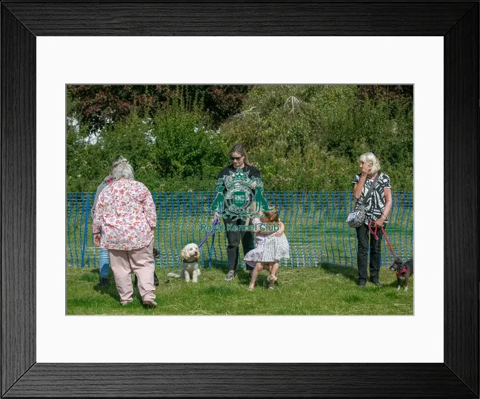Framed Print : North East Dog Festival 2024 Scruffts Heats Judging