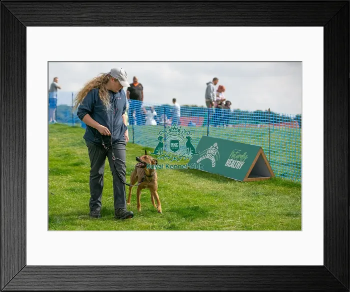 Framed Print : North East Dog Festival 2024 Scruffts Heats Owner Name