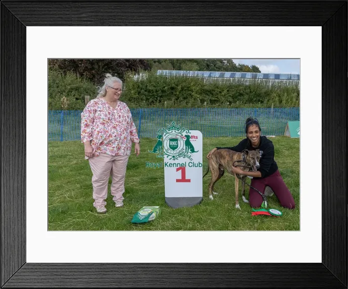 Framed Print : Dog Name Ollie Scruffts Heats Scruffts Family Crossbreed Of The Year Competition