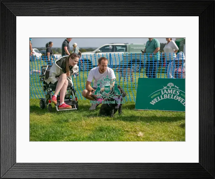 Framed Print : Sponsors Name Scruffts Heats Scruffts Family Crossbreed Of The Year Competition Framed Print : Sponsors Name Scruffts Heats Scruffts Family Crossbreed Of The Year Competition