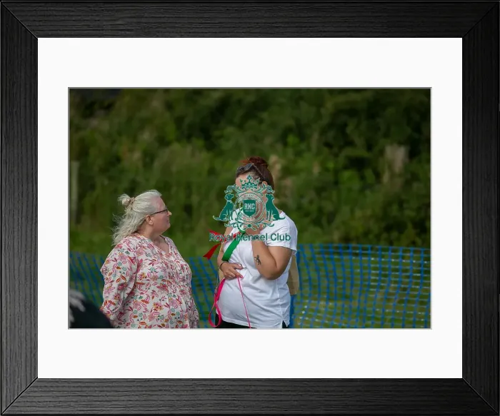 Framed Print : North East Dog Festival 2024 Scruffts Heats Scruffts Family Crossbreed Of The Year Competition