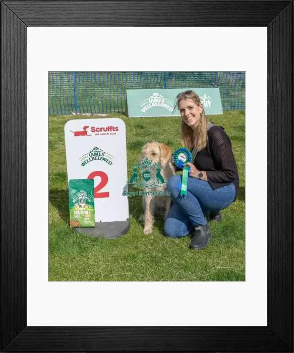 Framed Print : Sponsors Name Scruffts Heats Scruffts Family Crossbreed Of The Year Competition Framed Print : Sponsors Name Scruffts Heats Scruffts Family Crossbreed Of The Year Competition