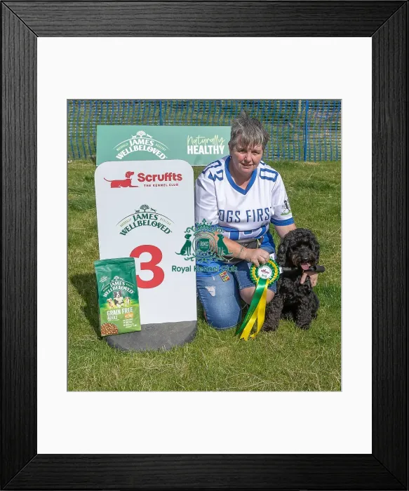 Framed Print : Sponsors Name Most Handsome Crossbreed Dog Class