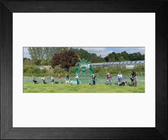 Framed Print : North East Dog Festival 2024 Most Handsome Crossbreed Dog Class Framed Print : North East Dog Festival 2024 Most Handsome Crossbreed Dog Class