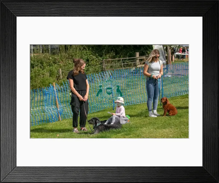 Framed Print : 31st August 2024 Candid Shot Most Handsome Crossbreed Dog Class
