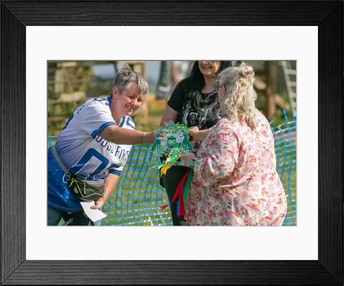 Framed Print : North East Dog Festival 2024 Scruffts Heats Scruffts Family Crossbreed Of The Year Competition