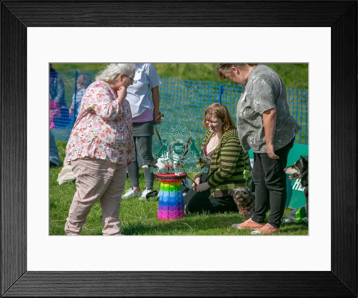 Framed Print : 31st August 2024 Candid Shot Prettiest Crossbreed Bitch Class
