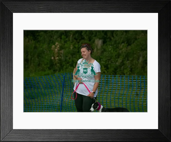 Framed Print : North East Dog Festival 2024 Scruffts Heats Scruffts Family Crossbreed Of The Year Competition Framed Print : North East Dog Festival 2024 Scruffts Heats Scruffts Family Crossbreed Of The Year Competition