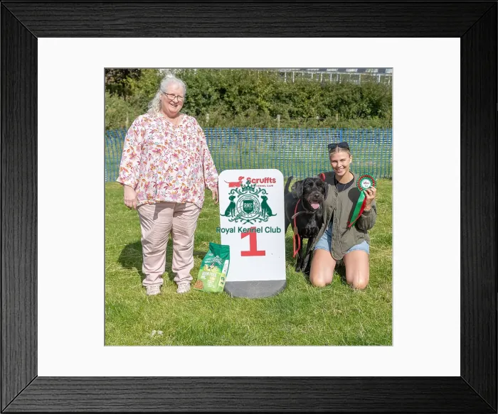 Framed Print : North East Dog Festival 2024 Scruffts Heats Dog Name Framed Print : North East Dog Festival 2024 Scruffts Heats Dog Name