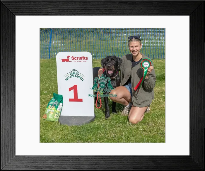 Framed Print : North East Dog Festival 2024 Scruffts Heats Dog Name Framed Print : North East Dog Festival 2024 Scruffts Heats Dog Name