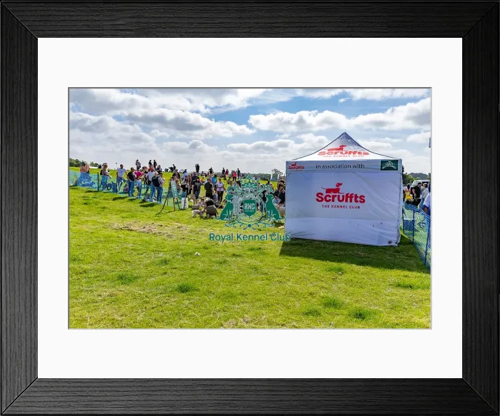 Framed Print : James Wellbeloved Candid Shot Scruffts Heats Framed Print : James Wellbeloved Candid Shot Scruffts Heats