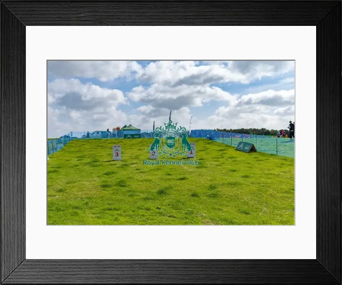 Framed Print : James Wellbeloved Scruffts Heats Sponsors Name