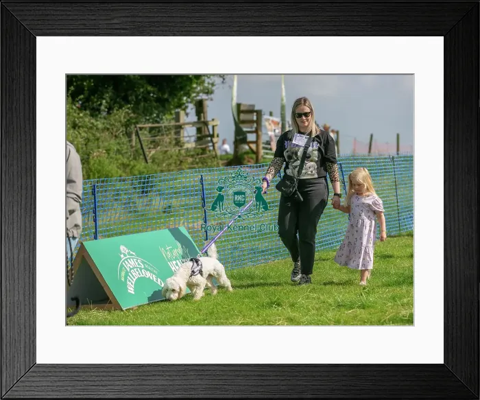 Framed Print : Sponsors Name Scruffts Heats Scruffts Family Crossbreed Of The Year Competition Framed Print : Sponsors Name Scruffts Heats Scruffts Family Crossbreed Of The Year Competition