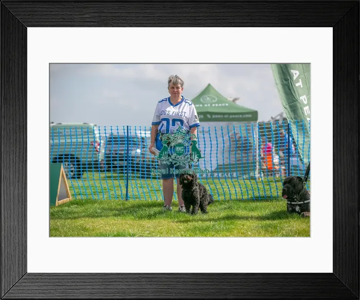 Framed Print : North East Dog Festival 2024 Scruffts Heats Scruffts Family Crossbreed Of The Year Competition