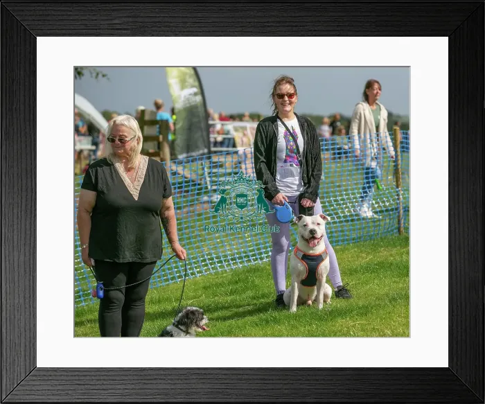 Framed Print : 31st August 2024 Candid Shot Most Handsome Crossbreed Dog Class