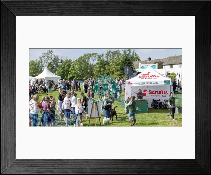 Framed Print : James Wellbeloved Scruffts Heats Sponsors Name
