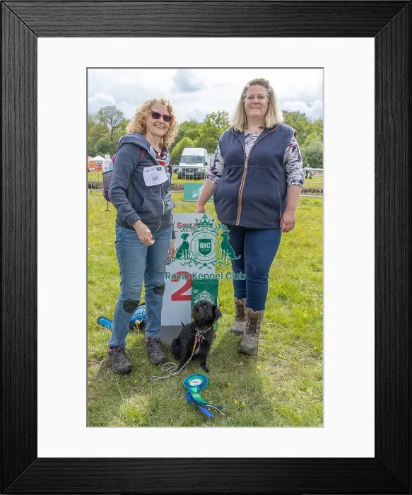 Framed Print : Good Citizen Dog Scheme Class Second Place Scruffts Family Crossbreed Competition Framed Print : Good Citizen Dog Scheme Class Second Place Scruffts Family Crossbreed Competition