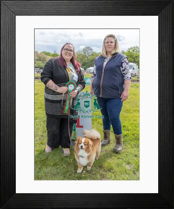 Framed Print : Good Citizen Dog Scheme Class Dog Name: Fudge Framed Print : Good Citizen Dog Scheme Class Dog Name: Fudge