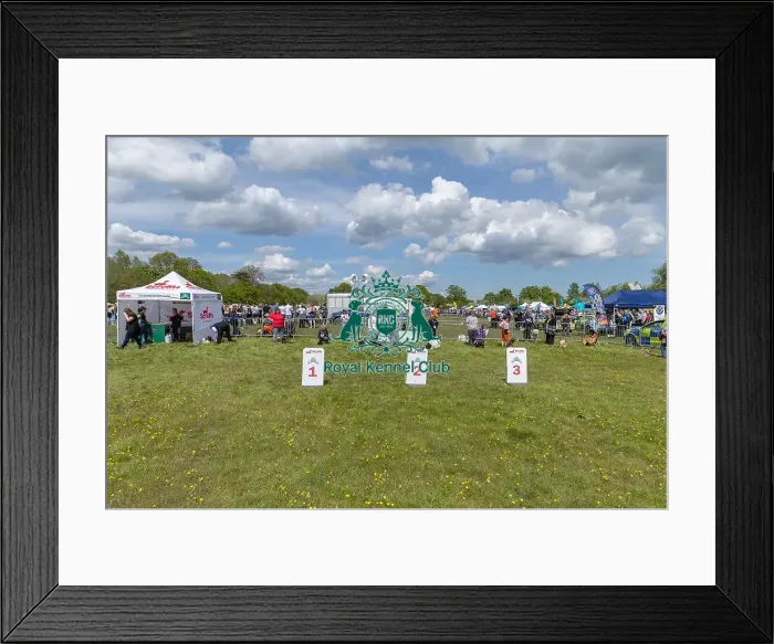 Framed Print : James Wellbeloved Dog And Owner Chelmsford Hylands Park Framed Print : James Wellbeloved Dog And Owner Chelmsford Hylands Park