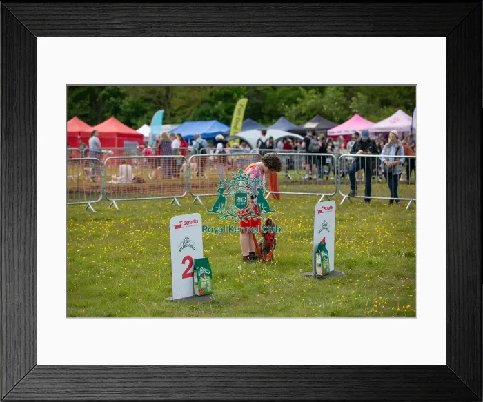 Framed Print : James Wellbeloved Chelmsford Dog And Owner Good Citizen Dog Scheme Class Framed Print : James Wellbeloved Chelmsford Dog And Owner Good Citizen Dog Scheme Class