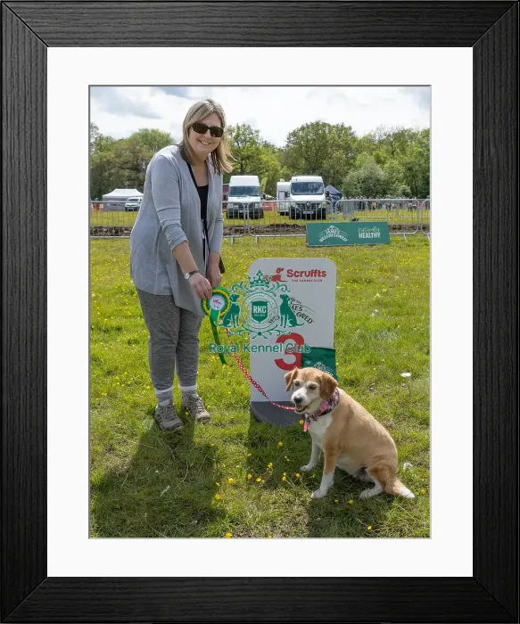 Framed Print : Dog Name: Tilsda Scruffts Family Crossbreed Competition Framed Print : Dog Name: Tilsda Scruffts Family Crossbreed Competition