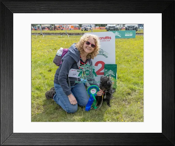Framed Print : Good Citizen Dog Scheme Class Second Place Scruffts Family Crossbreed Competition Framed Print : Good Citizen Dog Scheme Class Second Place Scruffts Family Crossbreed Competition