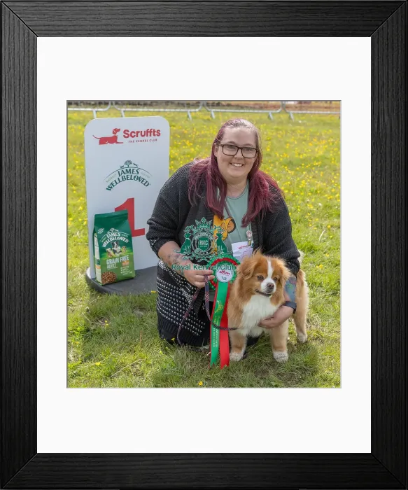 Framed Print : Good Citizen Dog Scheme Class Dog Name: Fudge Framed Print : Good Citizen Dog Scheme Class Dog Name: Fudge