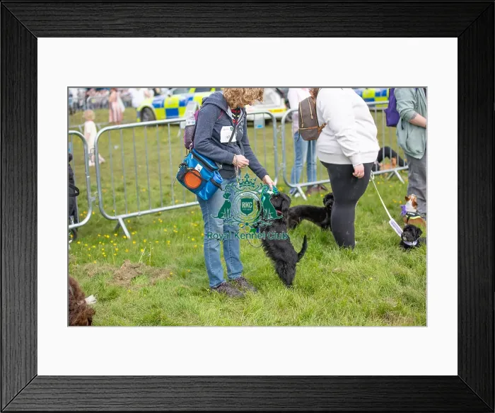 Framed Print : James Wellbeloved Chelmsford Dog And Owner Good Citizen Dog Scheme Class Framed Print : James Wellbeloved Chelmsford Dog And Owner Good Citizen Dog Scheme Class