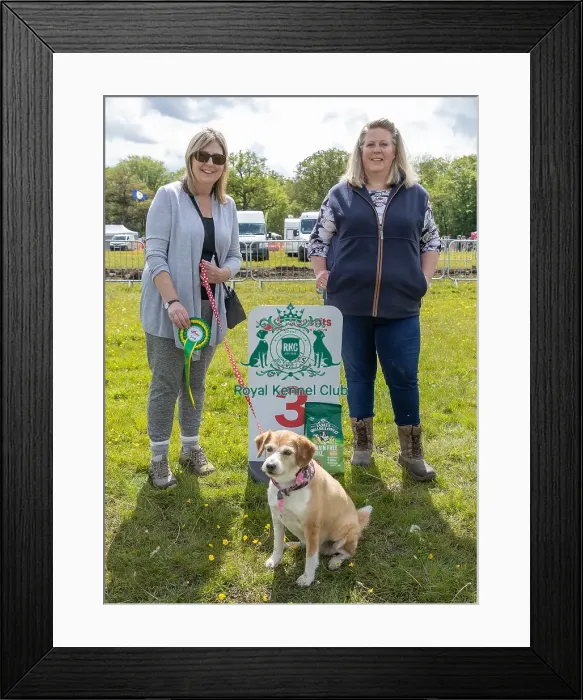 Framed Print : Dog Name: Tilsda Scruffts Family Crossbreed Competition Framed Print : Dog Name: Tilsda Scruffts Family Crossbreed Competition