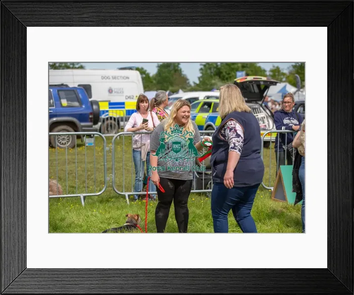 Framed Print : Golden Oldie Class Dog And Owner Scruffts Family Crossbreed Competition Framed Print : Golden Oldie Class Dog And Owner Scruffts Family Crossbreed Competition