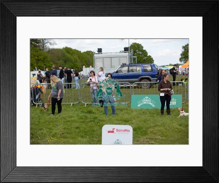Framed Print : James Wellbeloved Scruffts Family Crossbreed Competition Framed Print : James Wellbeloved Scruffts Family Crossbreed Competition