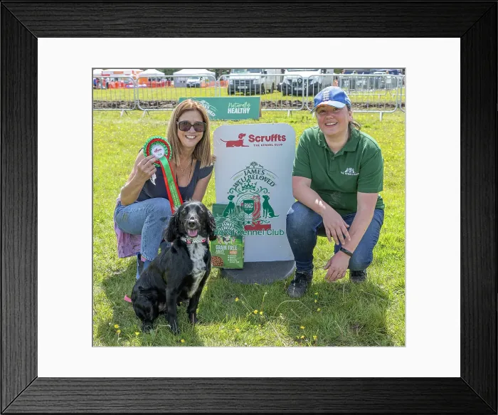 Framed Print : Owner Name: Barbra Davies Hylands Park Chelmsford Framed Print : Owner Name: Barbra Davies Hylands Park Chelmsford
