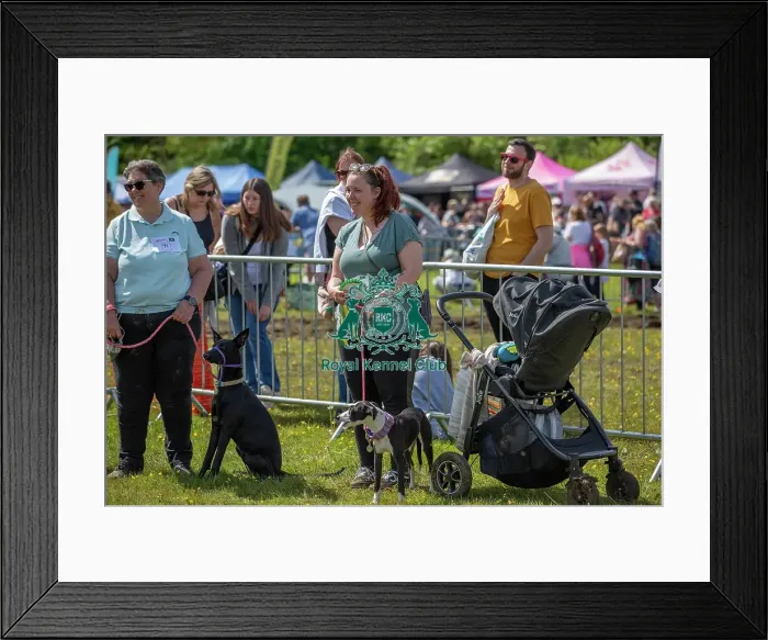 Framed Print : Prettiest Crossbreed Bitch Class Dog And Owner Framed Print : Prettiest Crossbreed Bitch Class Dog And Owner