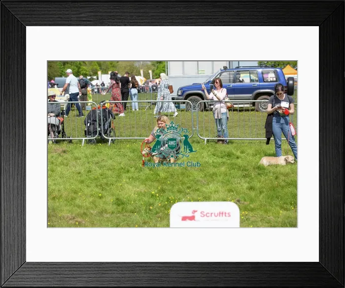 Framed Print : Chelmsford Scruffts Family Crossbreed Competition Framed Print : Chelmsford Scruffts Family Crossbreed Competition