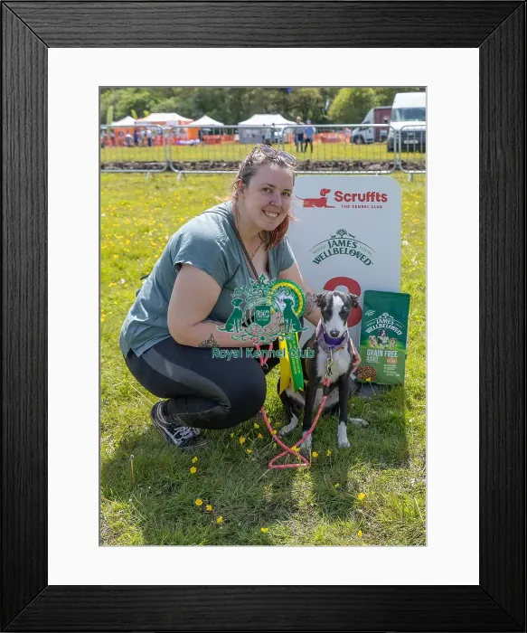 Framed Print : Dog Name: Lola Chelmsford Third Place James Wellbeloved Framed Print : Dog Name: Lola Chelmsford Third Place James Wellbeloved